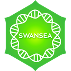 Positively Swansea