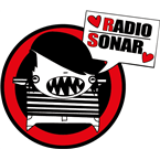 Radio Sonar Project