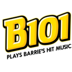 B101