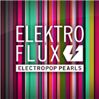 ElektroFlux