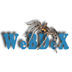 WeBDeX 8bit radio