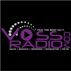 Voss Radio