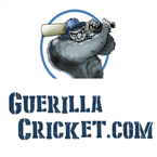 Guerilla Cricket